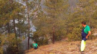 Општина Центар со цистерна и вработени во ПОЦ помага во гасење на пожарот во Јасен